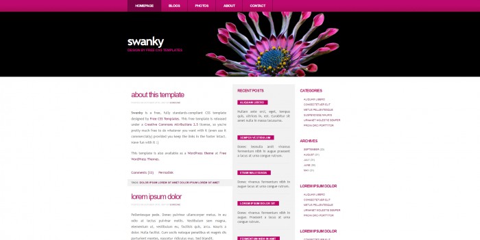紫红色,BLOG,紫红色BLOG网页模板,网站模板免费下载,