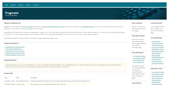 实用,软件,公司,实用软件公司网页模板,网站模板免费下载,