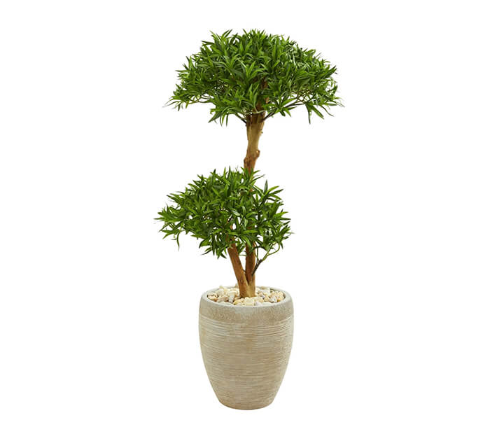 product_21